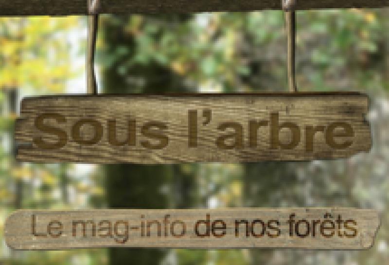 sous l'arbre