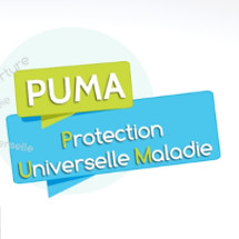 puma ameli puma ameli