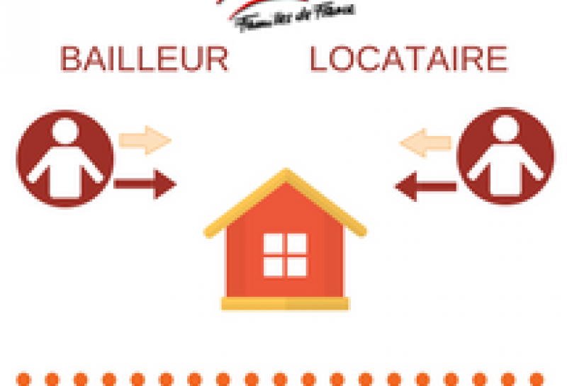 Bail D Habitation Obligations Du Bailleur Et Du Locataire