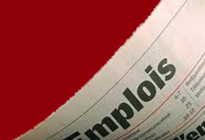 emploi